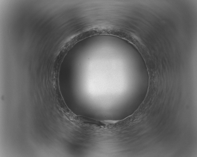 X0000062911016200601271734