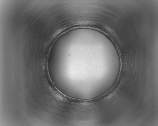 X0000062911017200601271734