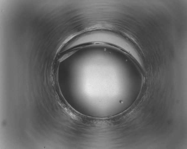 X0000062911018200601271734