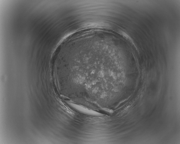 X0000062911019200601271734