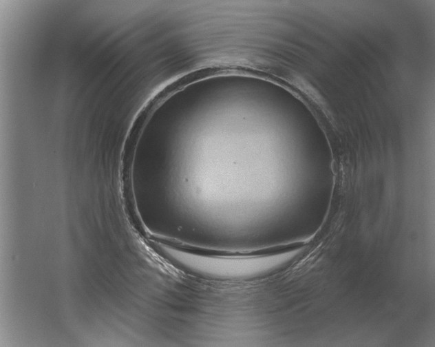 X0000062911020200601271734