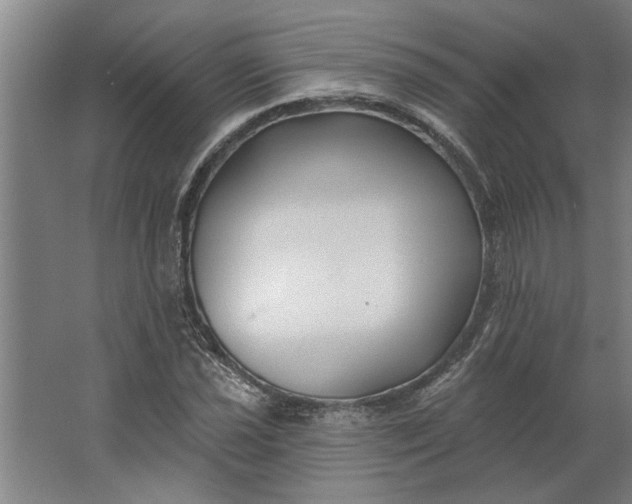 X0000062911021200601271734