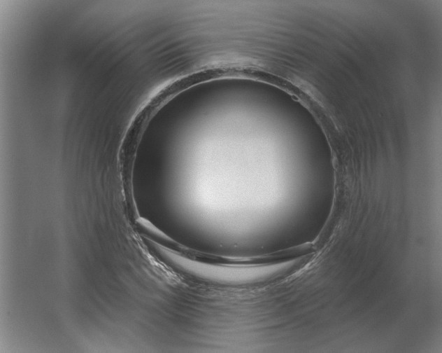 X0000062911022200601271734