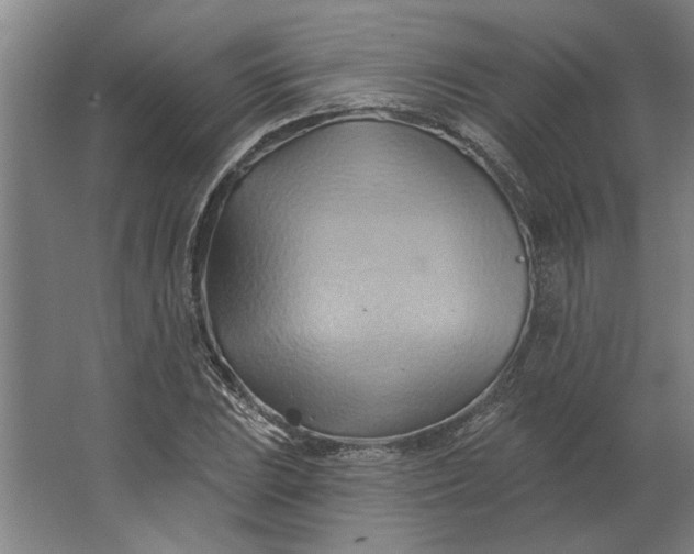 X0000062911023200601271734