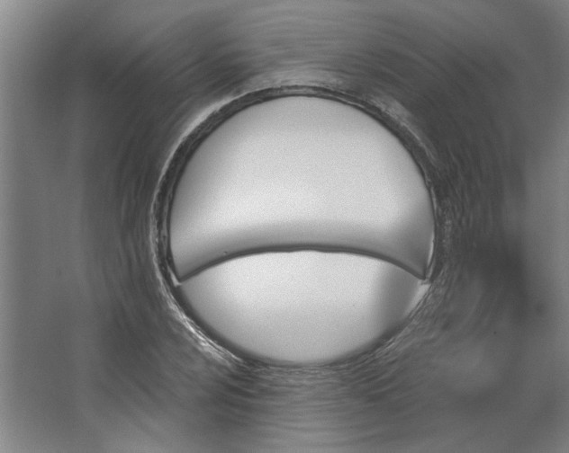 X0000062911024200601271734