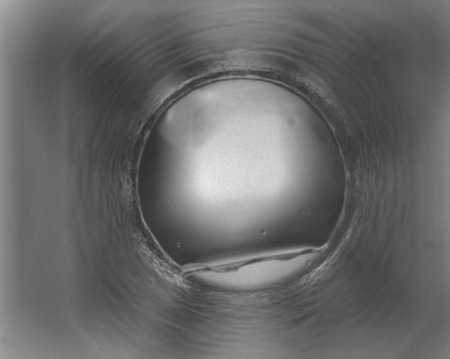 X0000062911025200601271734