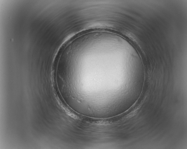 X0000062911029200601271734