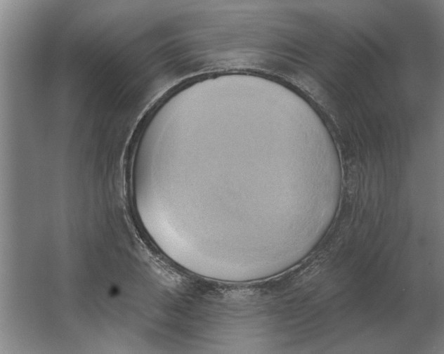 X0000062911031200601271734