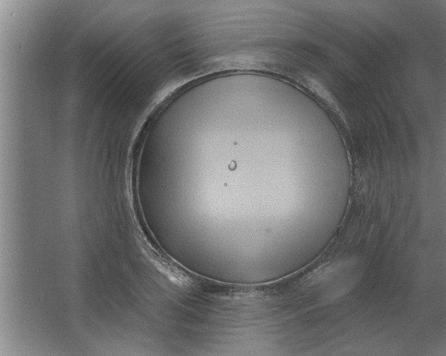 X0000062911035200601271734