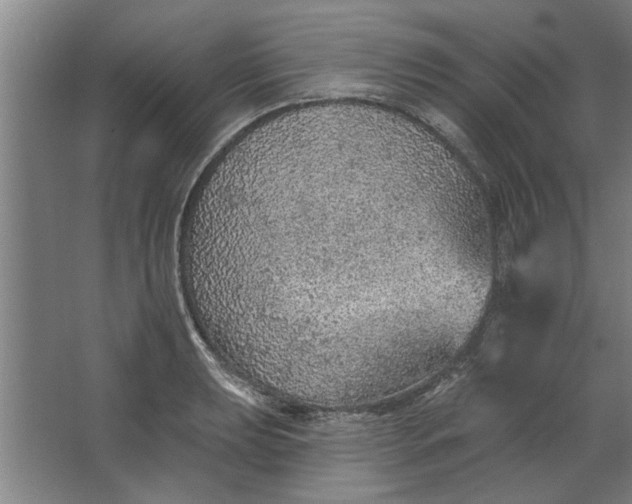 X0000062911039200601271734