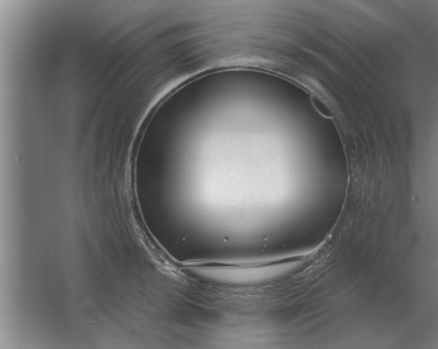 X0000062911044200601271734