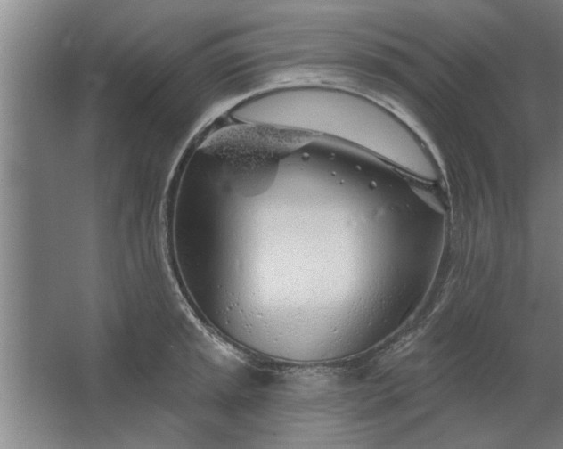 X0000062911045200601271734