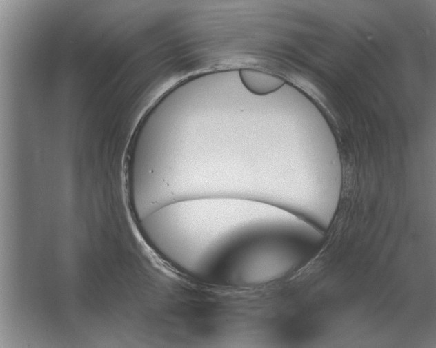 X0000062911047200601271734