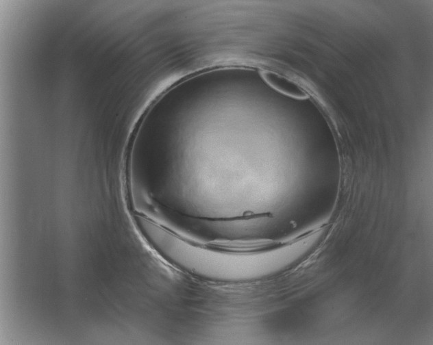 X0000062911048200601271734