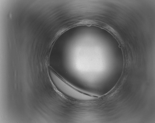 X0000062911049200601271734