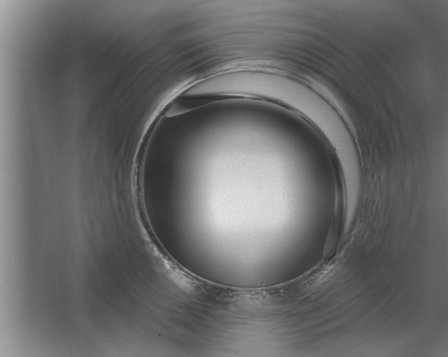 X0000062911050200601271734