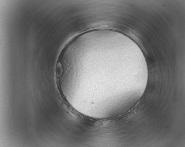 X0000062911051200601271734