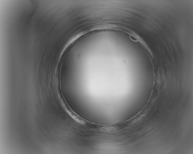 X0000062911053200601271734