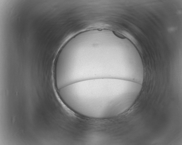 X0000062911055200601271734