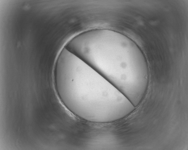 X0000062911056200601271734