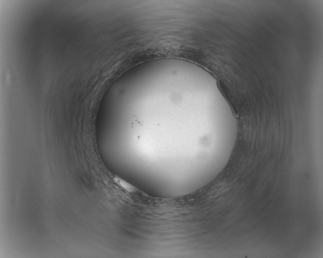 X0000062911057200601271734