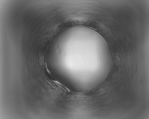 X0000062911061200601271734