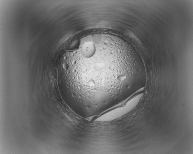 X0000062911064200601271733