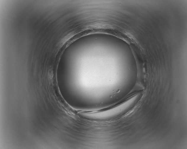 X0000062911065200601271733