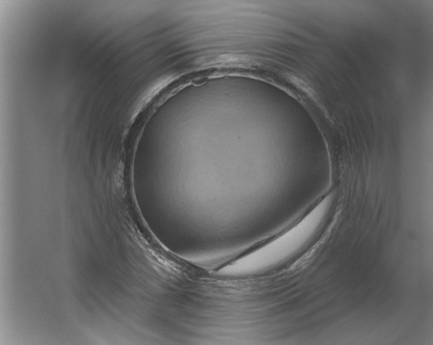 X0000062911066200601271733