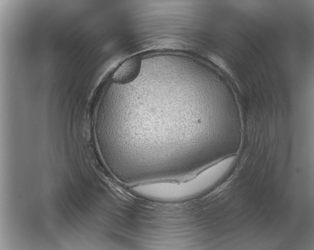 X0000062911067200601271733