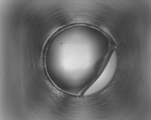 X0000062911068200601271733