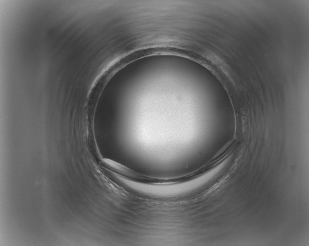 X0000062911069200601271733