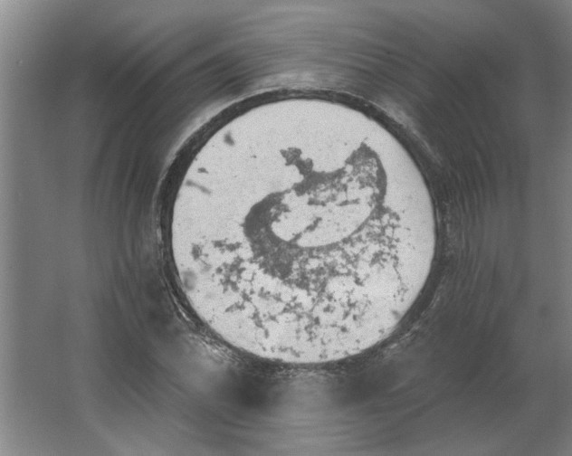 X0000062911070200601271733