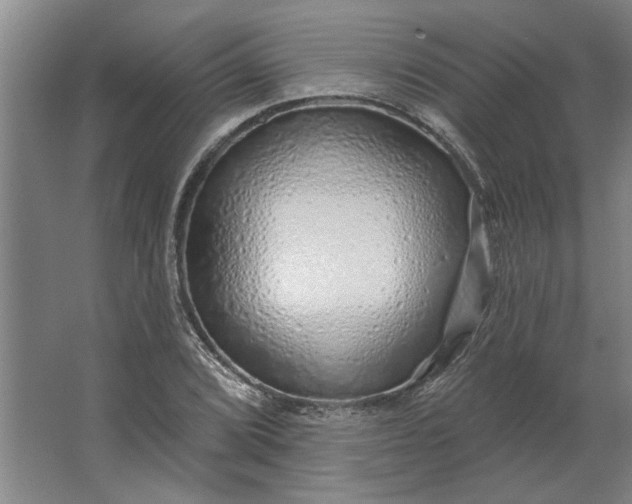 X0000062911072200601271733