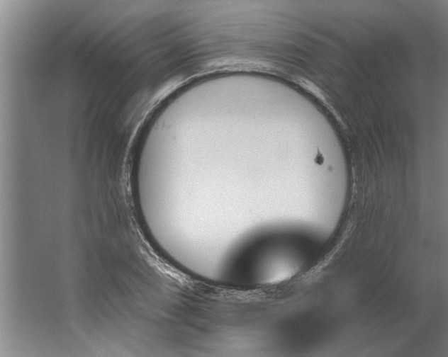 X0000062911074200601271733