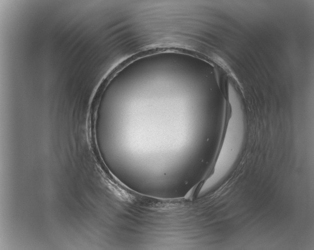 X0000062911076200601271733