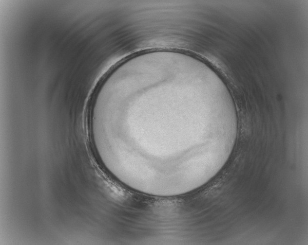 X0000062911078200601271733