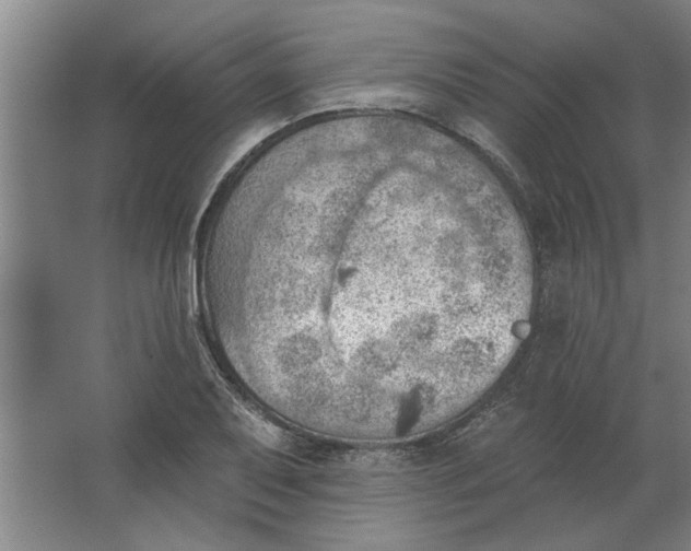 X0000062911079200601271733