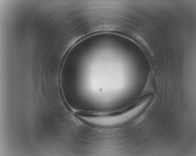 X0000062911081200601271733