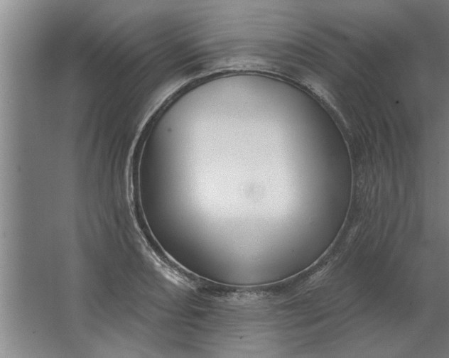 X0000062911082200601271733