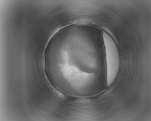 X0000062911083200601271733