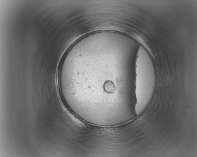 X0000062911084200601271733