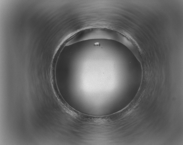 X0000062911085200601271733