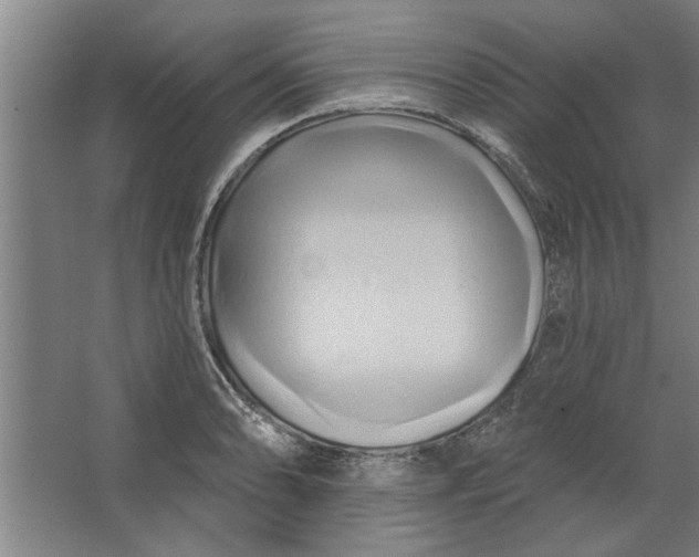 X0000062911086200601271733