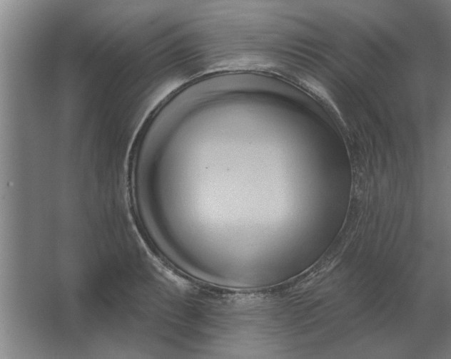 X0000062911087200601271733