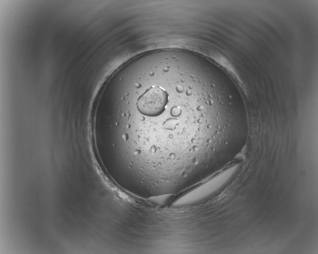 X0000062911088200601271733