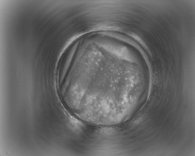 X0000062911094200601271733