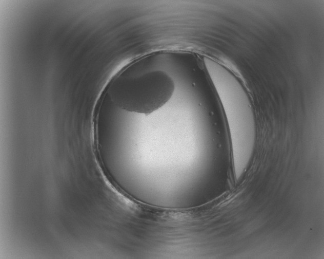 X0000062911095200601271733