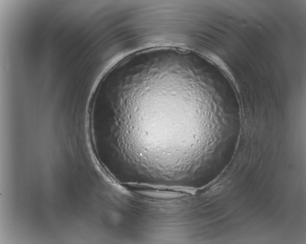 X0000062911096200601271733