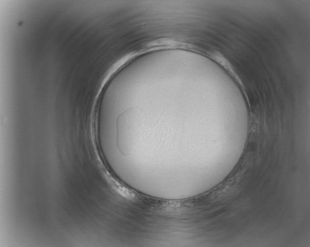 X0000062911098200601271733